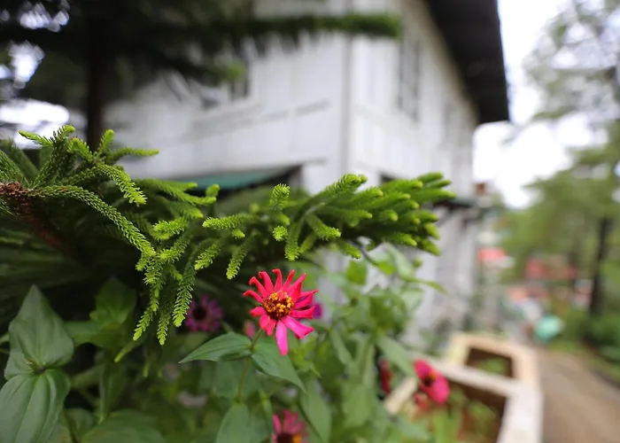 Casa Vallejo Baguio